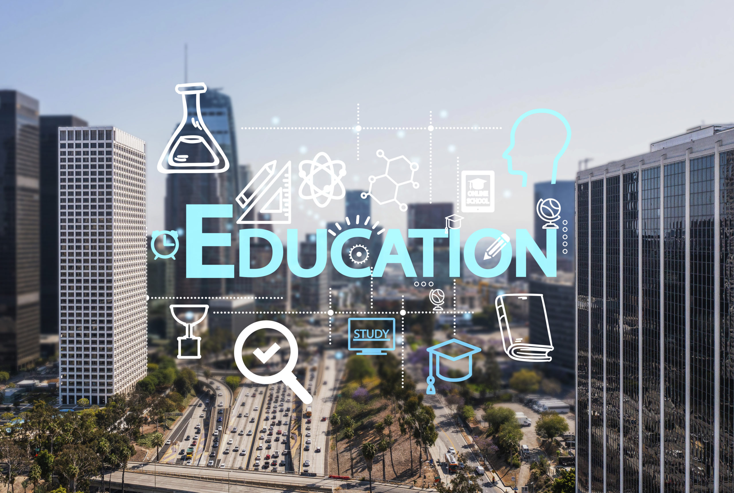 Case Studies: Successful Implementation of Education Management Systems